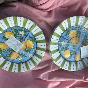 2 Sigrid Olsen Beautiful Set 4-Melamine Salad  Plates  Blue Green Yellow 8.5”